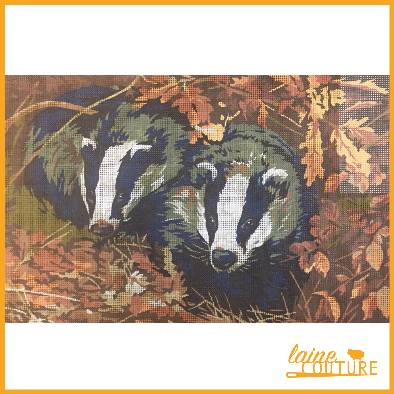 Penelope - Badgers