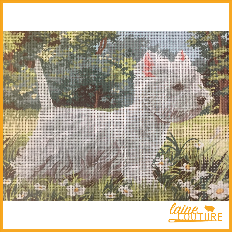 SEG de Paris - Westie