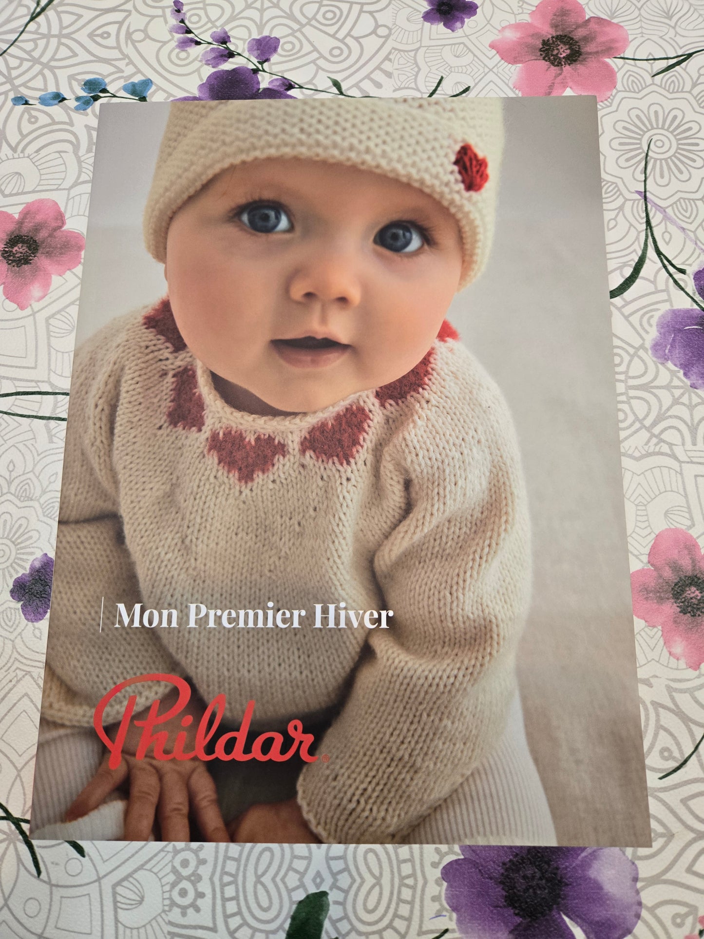 Mon premier hiver Phildar 2025 #261