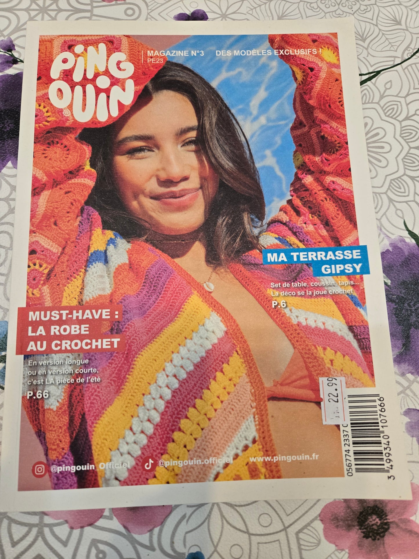 Ma terrasse Gipsy PE23  #3