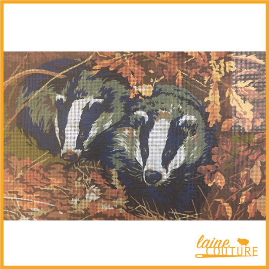 Penelope - Badgers